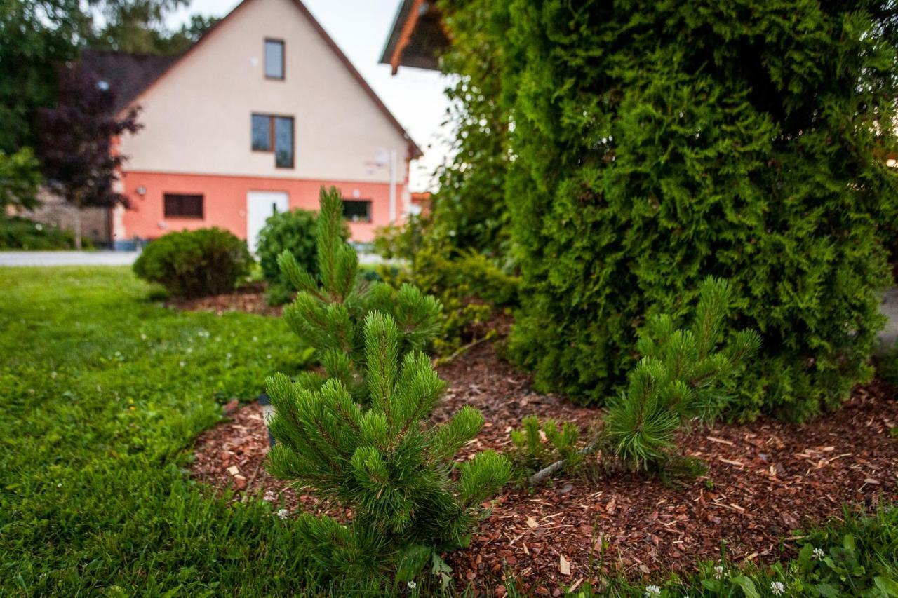 Laimnieki Hotel Augsciems Bagian luar foto